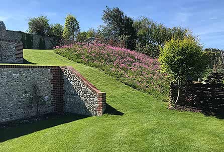 wild-flower-turf-meadow-lawn-expert-landscapers-ragged-robin-sussex-lewes